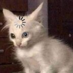 batux (Batu) free OnlyFans Leaked Content 

 profile picture