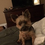 chellb (Chellb) OnlyFans Leaked Videos and Pictures 

 profile picture