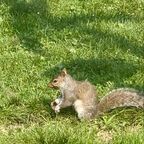 Download quest2brolln2d OnlyFans content for free 

 profile picture