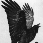 Doom (@sadlovestory) Leaked OnlyFans 

 profile picture