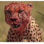 Onlyfans leaked stroh 

 profile picture