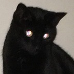 voidqueen OnlyFans Leaked Photos and Videos 

 profile picture