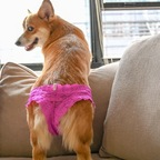 Download zippbrush OnlyFans content for free 

 profile picture